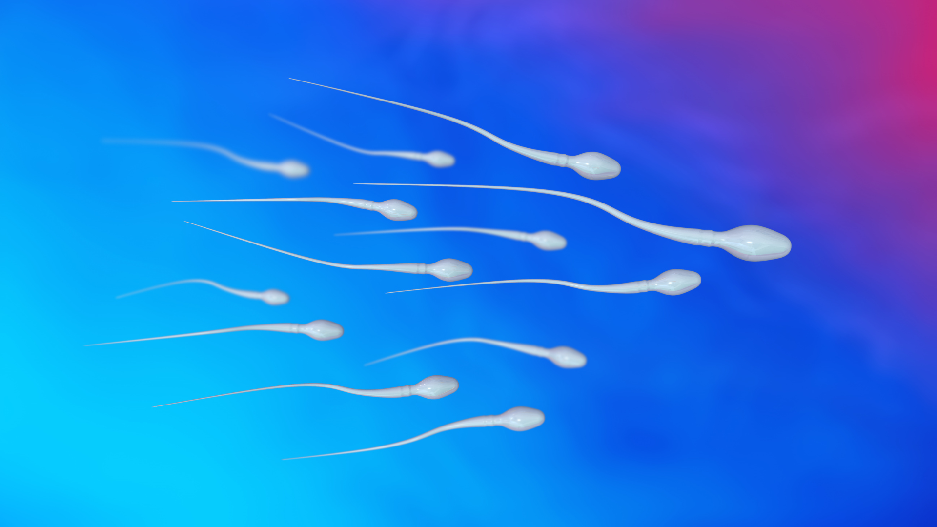 Spermie: Buněční superhrdinové nebo stupidní motovidla?