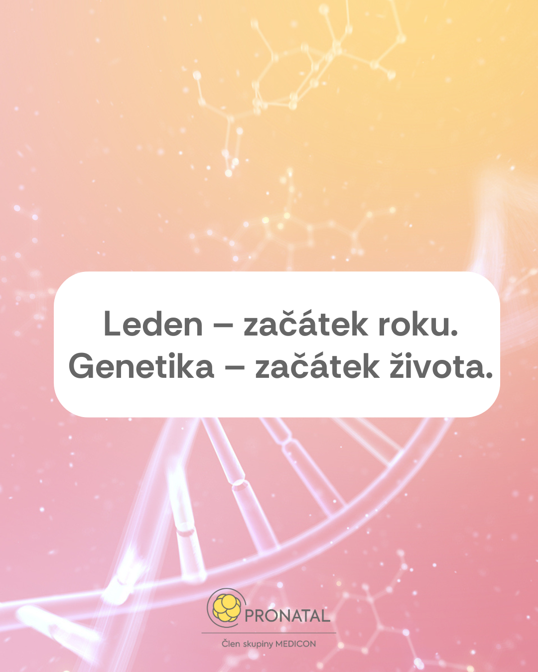 Genetika rozhoduje dřív, než uvidíte dvě čárky. A často i o tom, jestli vůbec přijdou.