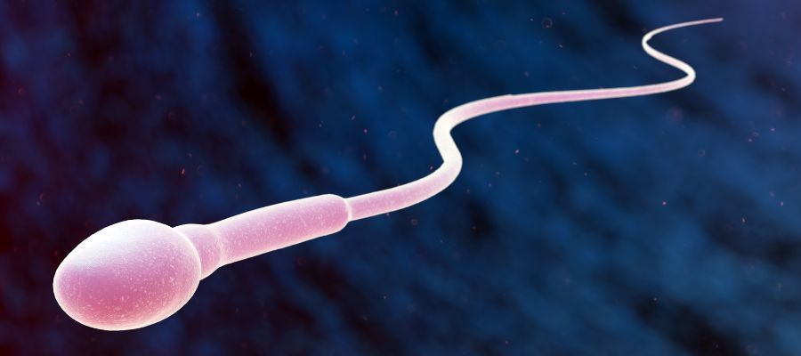 Spermiogram není jen o počtu: Odhalte vše o mužské plodnosti, kvalitě ejakulátu a šancích na početí