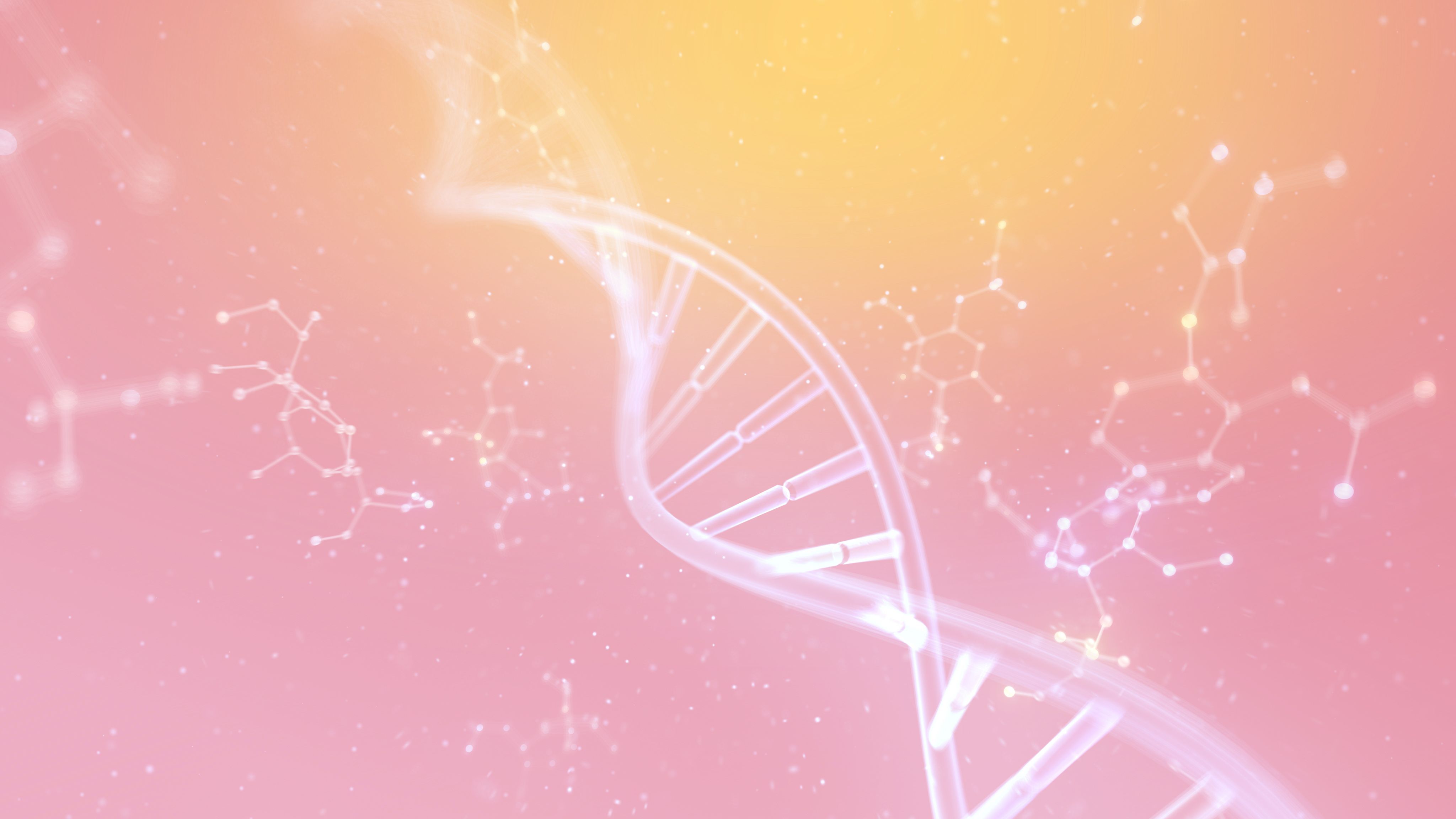 Genetika rozhoduje dřív, než uvidíte dvě čárky