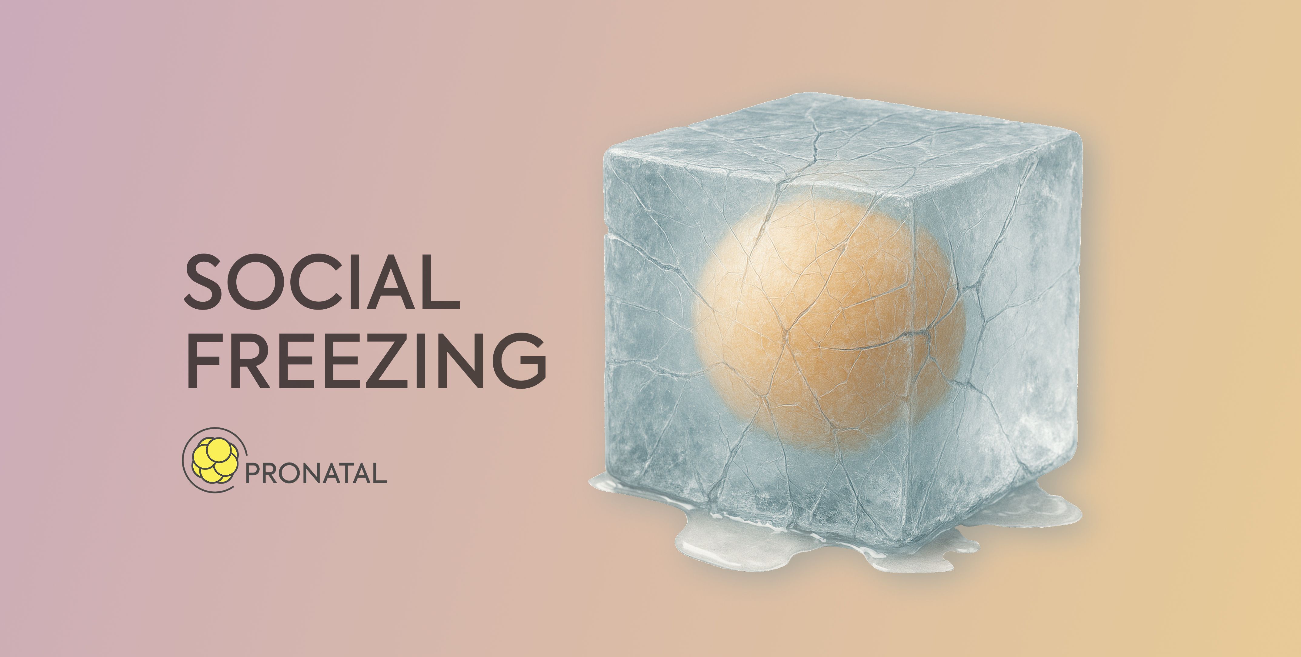 Social freezing nově i na splátky