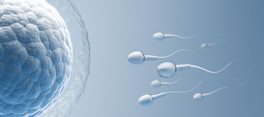 7 tipů, jak zlepšit spermiogram a mužskou plodnost: Praktický průvodce ke kvalitnějším spermiím