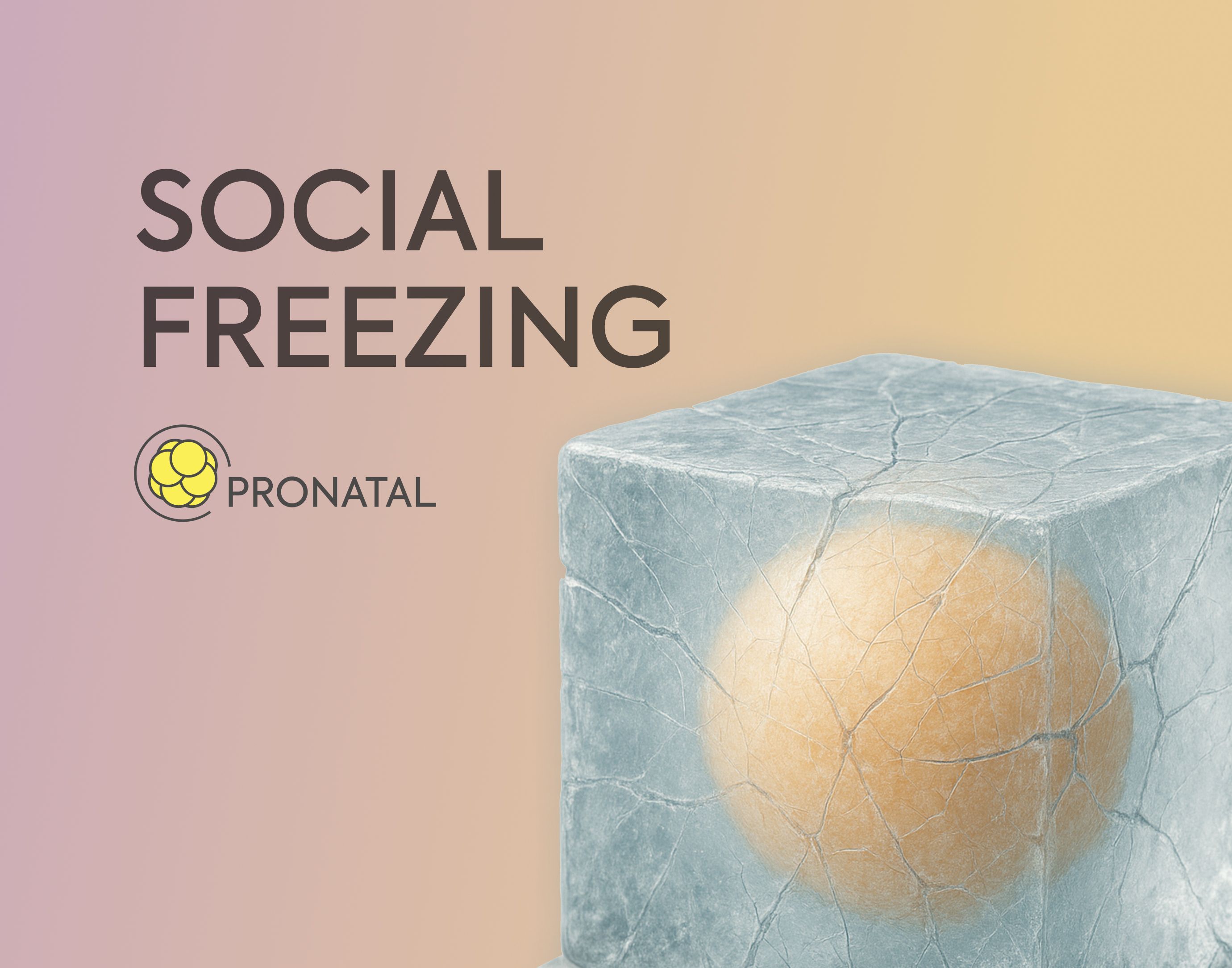 Social freezing nově i na splátky